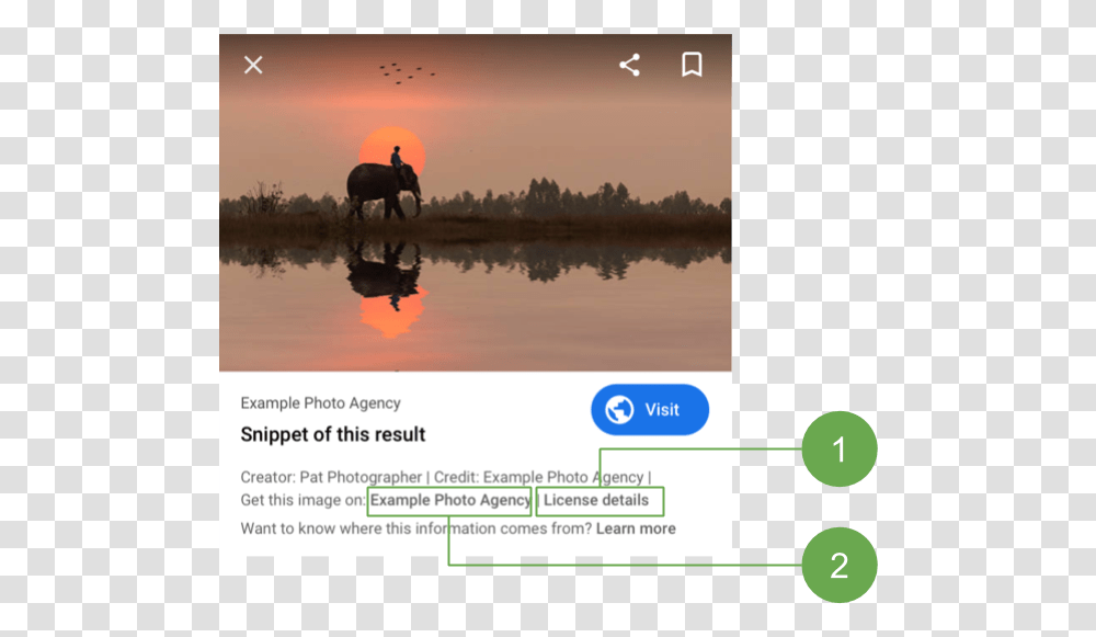 Google To Highlight Image Licensing Information In Google Image Licensing Information, Poster, Advertisement, Horse, Mammal Transparent Png
