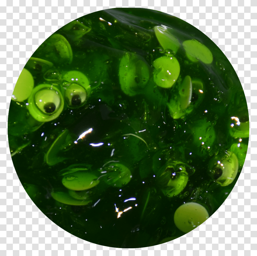 Googley Eyes Circle, Green, Plant, Bottle, Algae Transparent Png