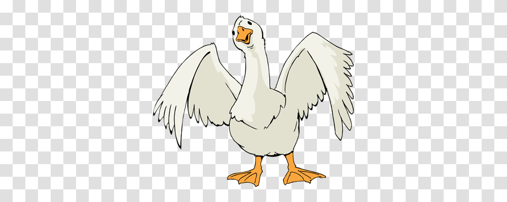 Goose Nature, Animal, Bird, Duck Transparent Png