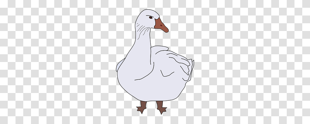 Goose Animals, Bird, Person, Human Transparent Png