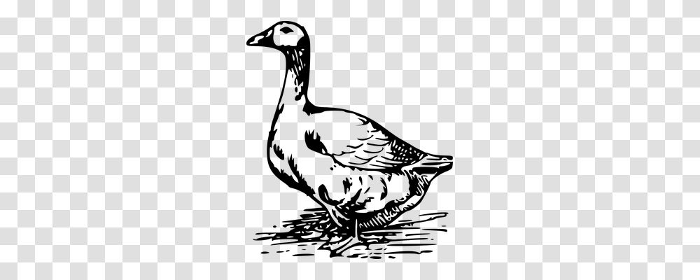 Goose Technology, Gray, World Of Warcraft Transparent Png