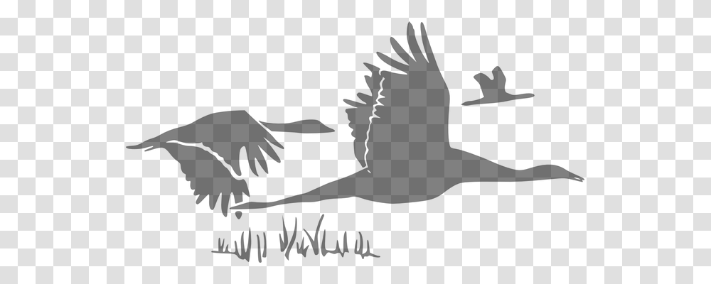 Goose Animals, Gray, World Of Warcraft Transparent Png