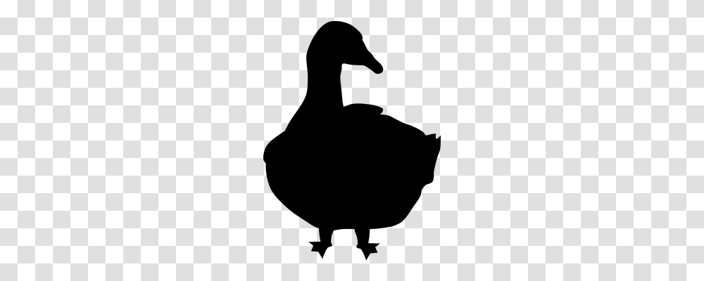 Goose Animals, Gray, World Of Warcraft Transparent Png