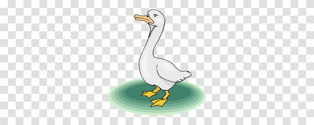 Goose Emotion, Animal, Bird, Duck Transparent Png