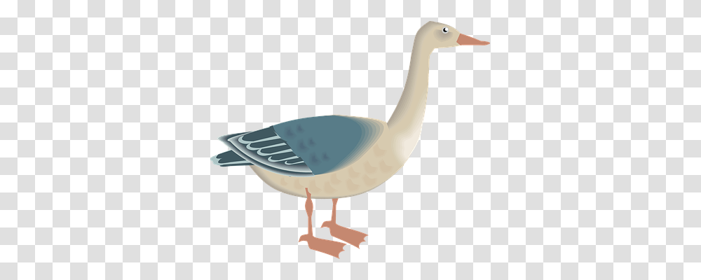 Goose Animals, Bird, Waterfowl, Beak Transparent Png