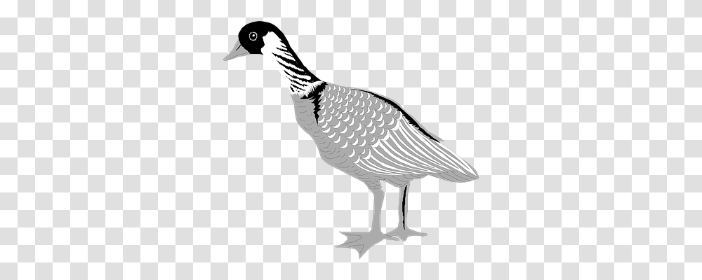 Goose Animals, Bird, Waterfowl, Crane Bird Transparent Png
