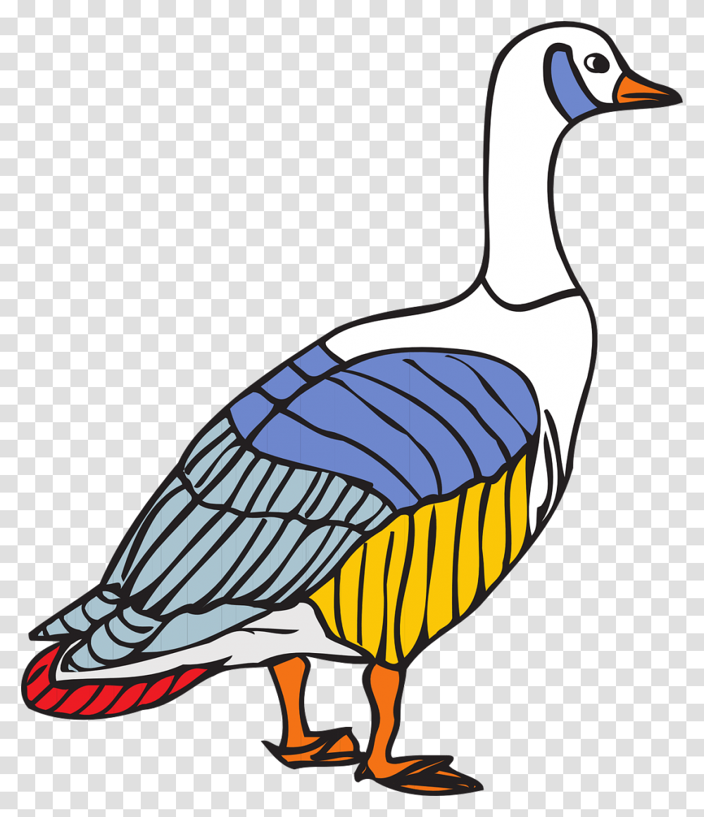 Goose, Animal, Bird, Duck, Waterfowl Transparent Png