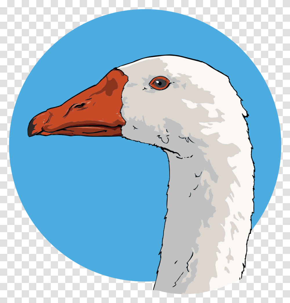 Goose Art, Bird, Animal, Swan, Flamingo Transparent Png