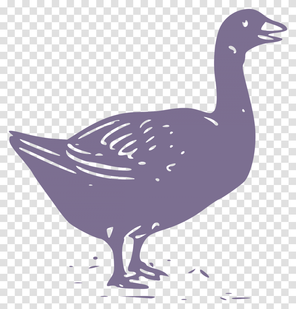 Goose, Bird, Animal, Beak, Waterfowl Transparent Png