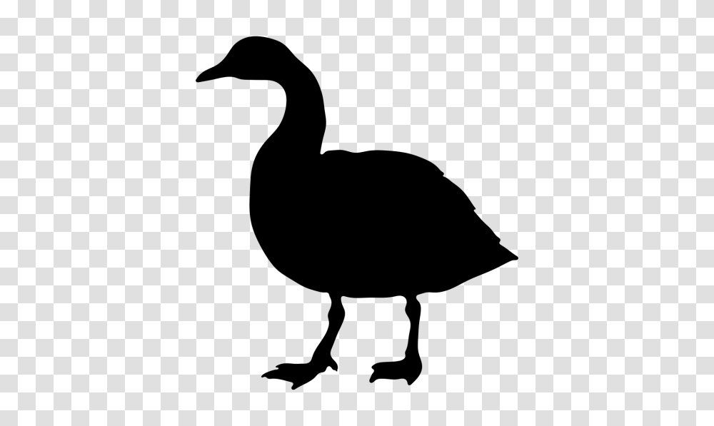 Goose, Bird, Animal, Duck, Silhouette Transparent Png