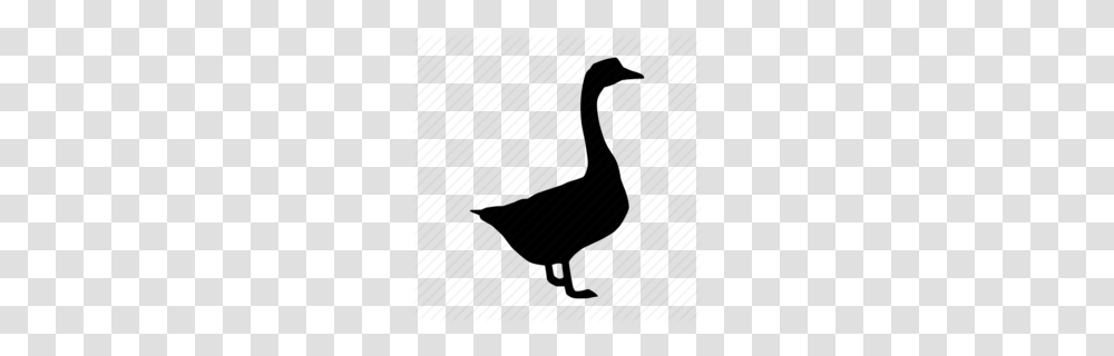 Goose Black Clipart, Bird, Animal, Silhouette Transparent Png