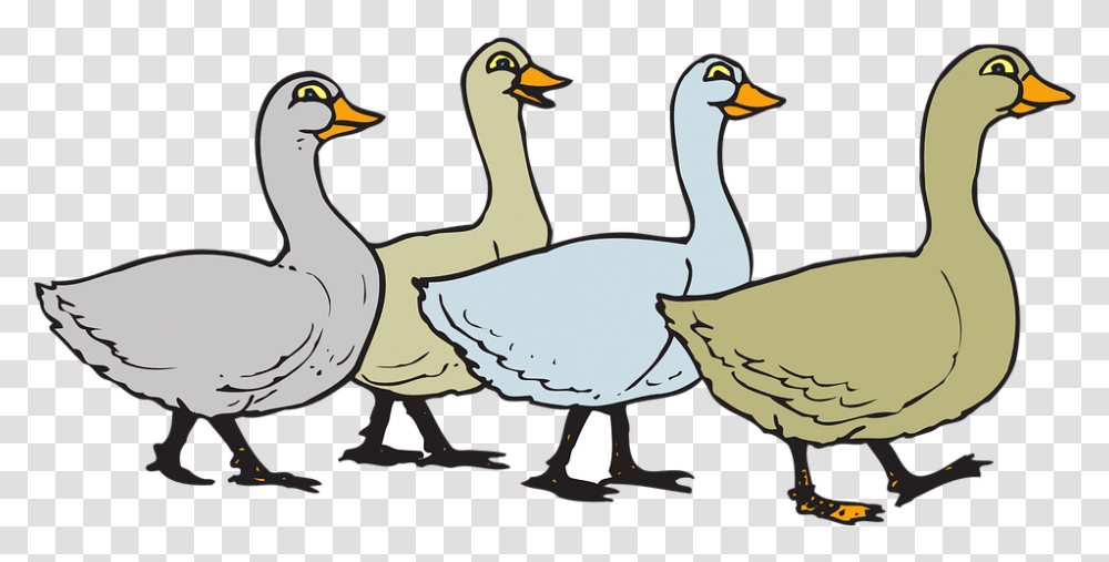 Goose Cartoon Gaggle Of Geese Clipart, Bird, Animal, Duck Transparent Png