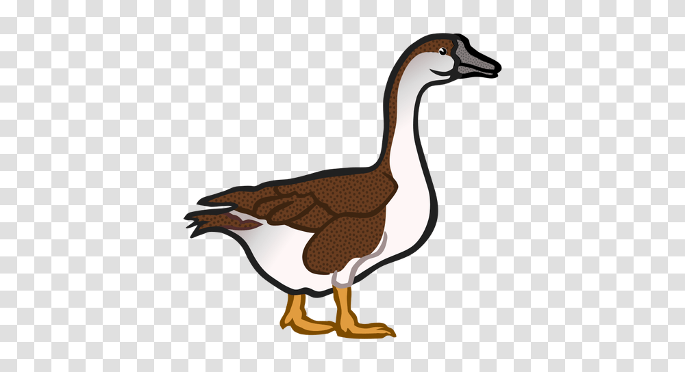 Goose Clip Art, Bird, Animal, Duck, Waterfowl Transparent Png