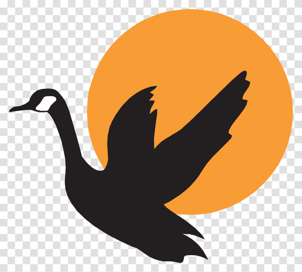 Goose Clip Art, Bird, Animal, Silhouette Transparent Png