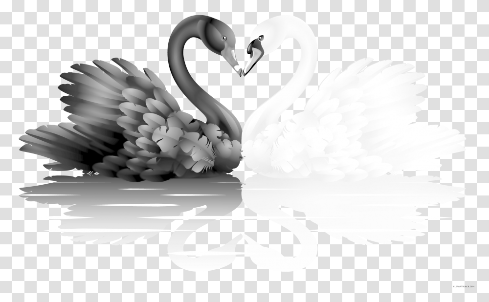 Goose Clipart Black And White White And Black Swan, Bird, Animal, Waterfowl Transparent Png