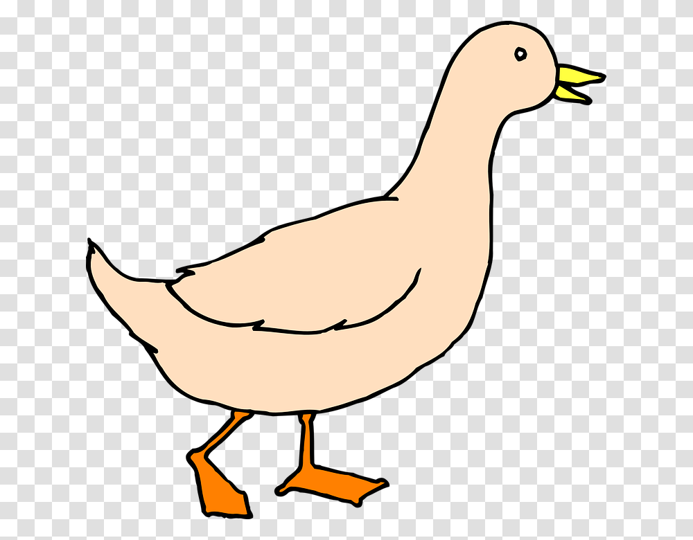 Goose Clipart Duck Walk, Bird, Animal, Waterfowl, Person Transparent Png