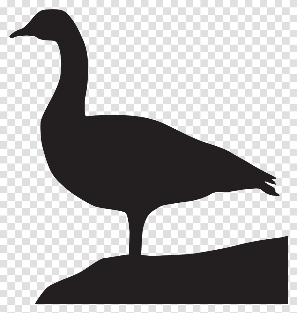 Goose Download Image Goose Black And White, Waterfowl, Bird, Animal, Silhouette Transparent Png