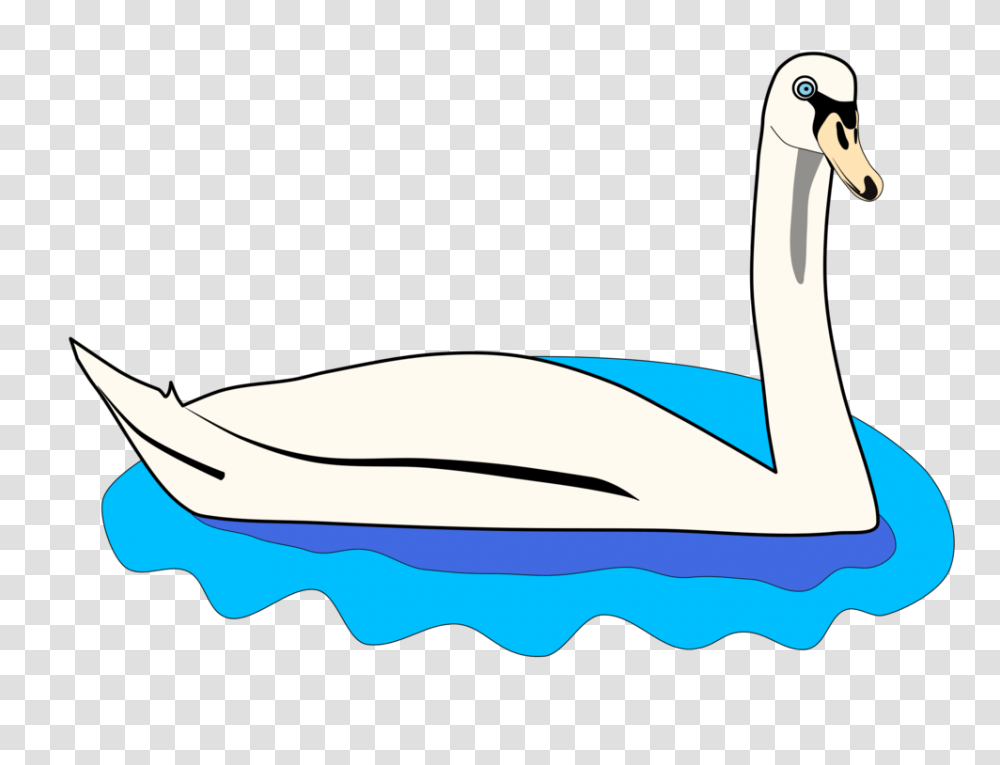 Goose Duck Water Bird Mute Swan, Animal, Waterfowl, Anseriformes, Beak Transparent Png