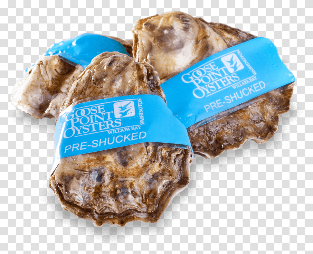 Goose Point Oysters Whole, Food, Sea Life, Animal, Seashell Transparent Png