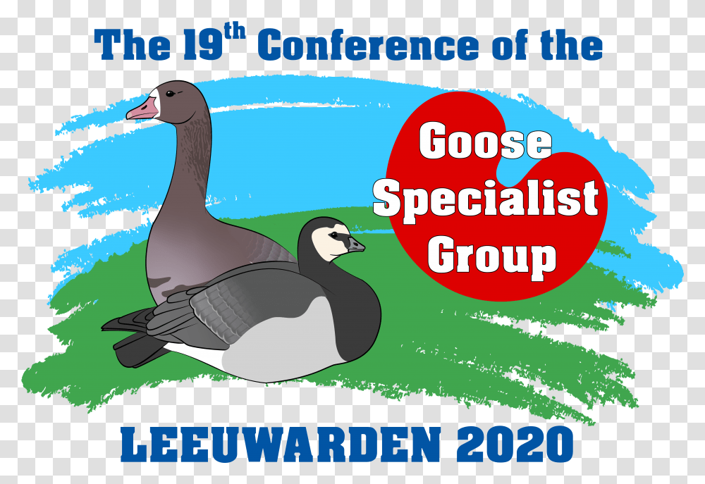 Goose Specialist Group1 Duck, Bird, Animal, Advertisement, Poster Transparent Png