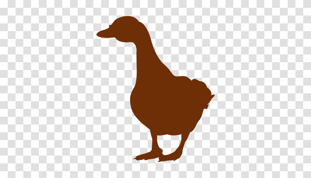 Goose Walking Silhouette, Animal, Bird, Chicken, Poultry Transparent Png