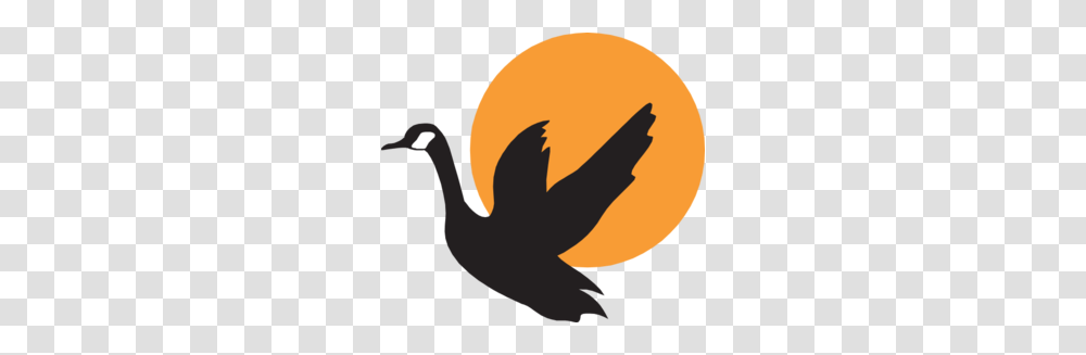Goose With Sunset Background Clip Art, Bird, Animal, Silhouette, Waterfowl Transparent Png