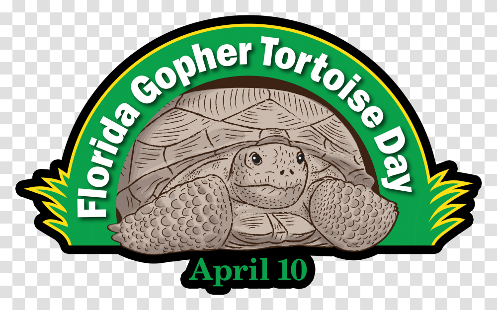 Gopher Tortoise Day Florida Gopher Tortoise Day, Turtle, Reptile, Sea Life, Animal Transparent Png
