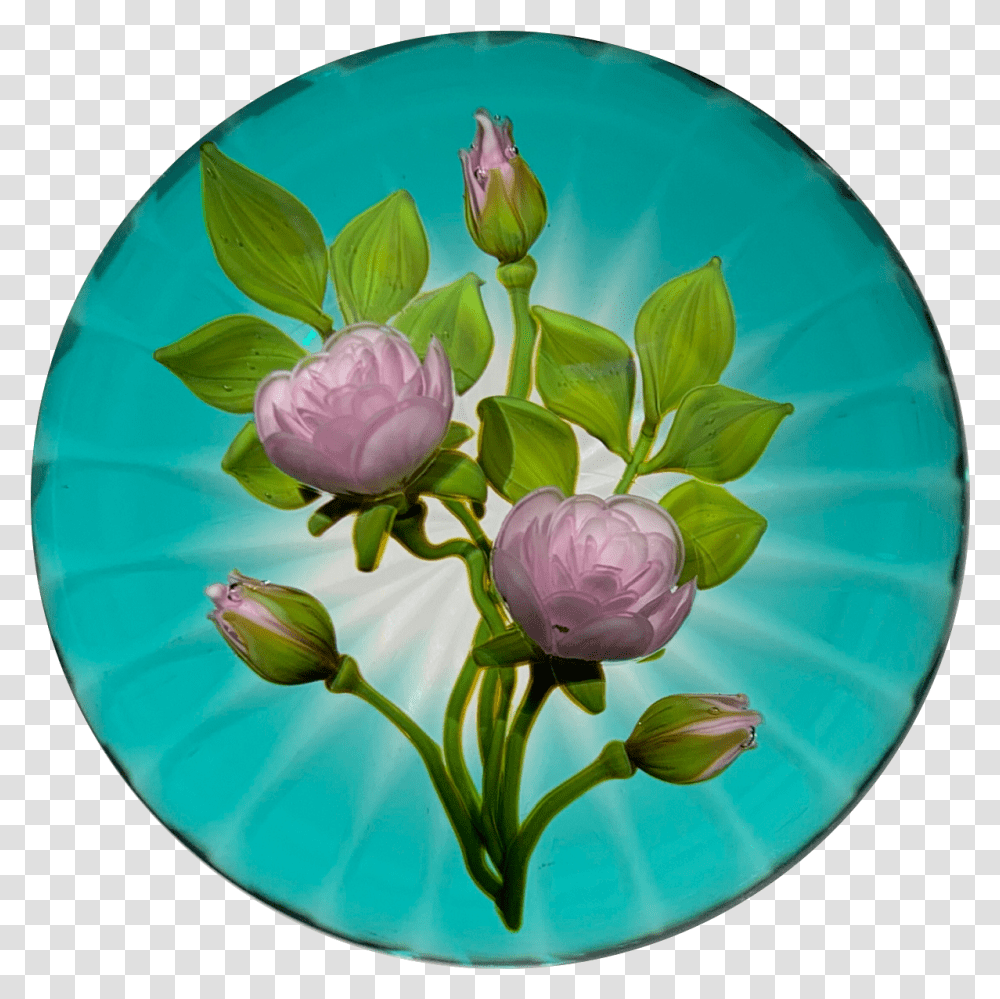 Gordon Smith 2019 Flamework Pink Rose Bouquet Set Over Blue Star Cut To Clear Base Tulip, Plant, Flower, Blossom, Porcelain Transparent Png