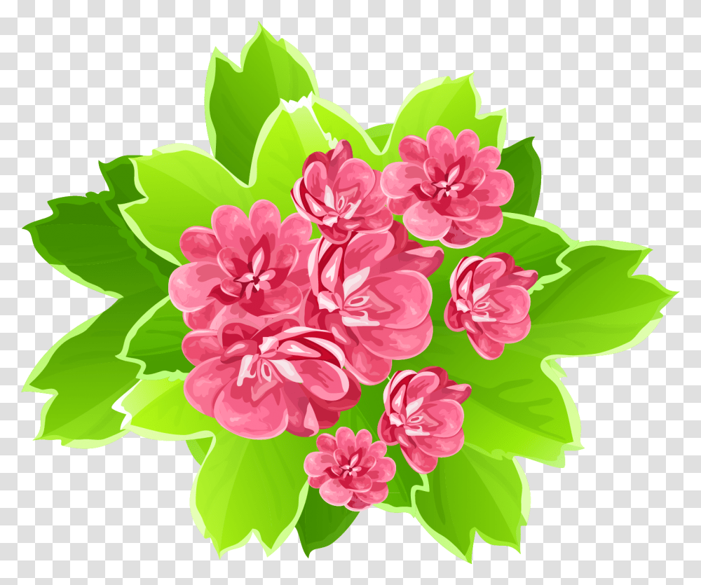 Gorgeus Clipart Summer Flower Beautiful Flowerpng, Plant, Blossom, Geranium Transparent Png