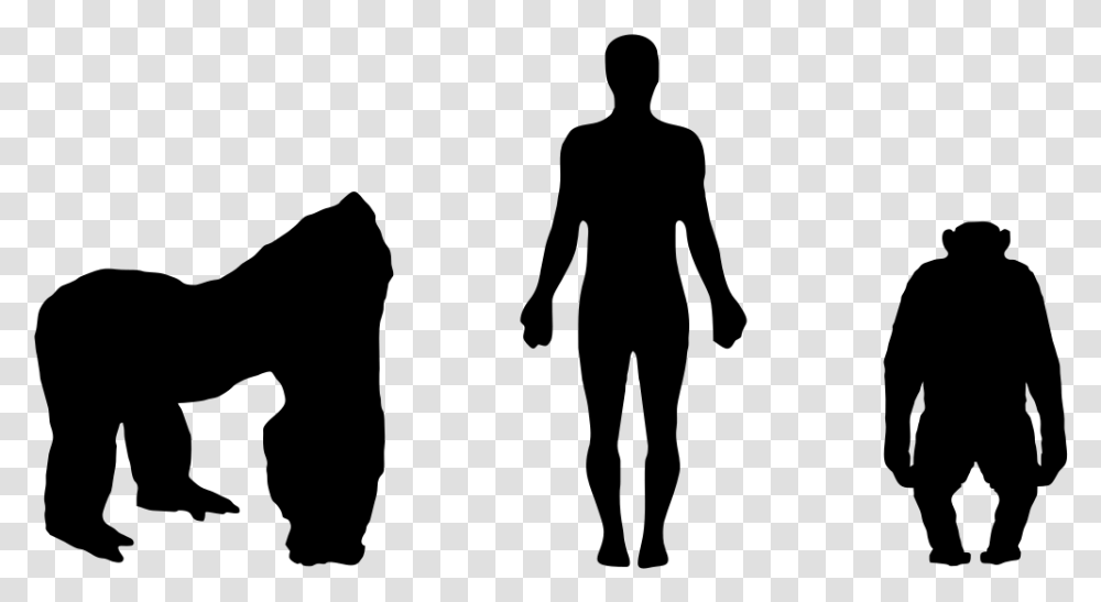 Gorilla And Man Size, Gray, World Of Warcraft Transparent Png