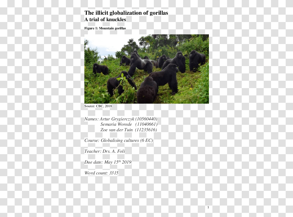 Gorilla Ape, Mammal, Animal, Wildlife, Elephant Transparent Png