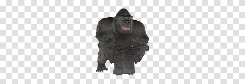 Gorilla, Ape, Wildlife, Mammal, Animal Transparent Png