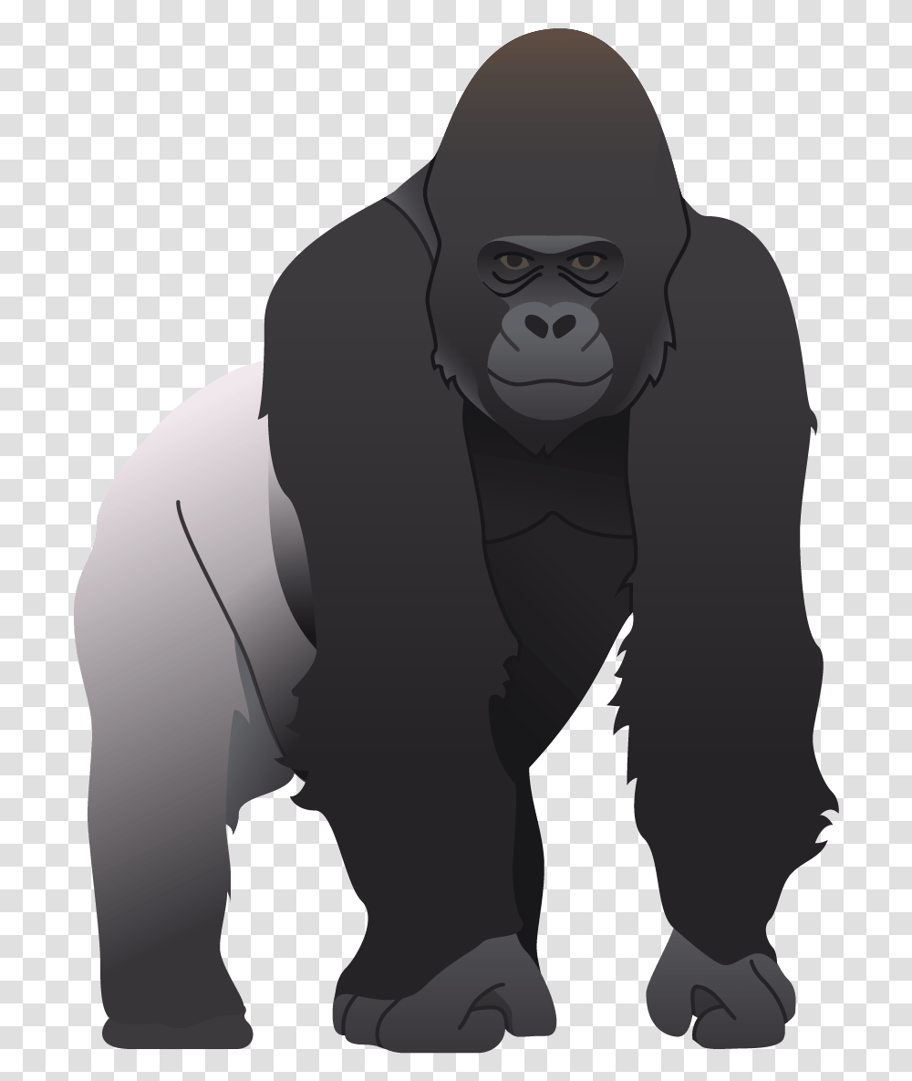 Gorilla, Ape, Wildlife, Mammal, Animal Transparent Png