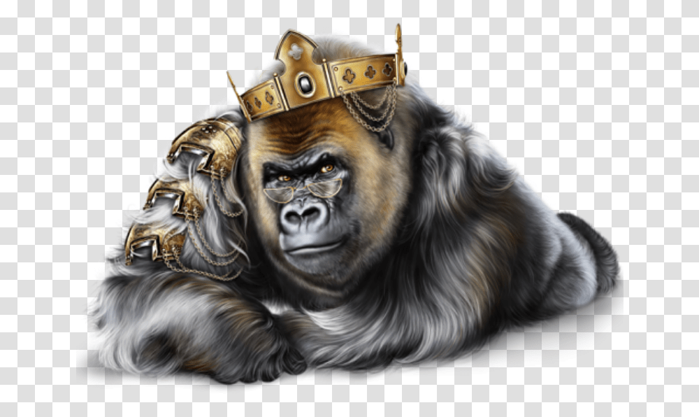 Gorilla Ape With A Crown, Dog, Pet, Canine, Animal Transparent Png