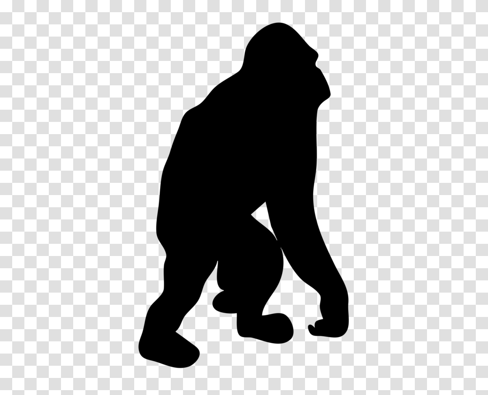 Gorilla Chimpanzee Primate Silhouette Bornean Orangutan Free, Gray, World Of Warcraft Transparent Png
