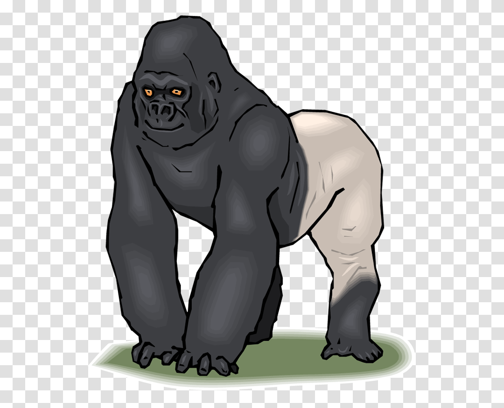 Gorilla Clipart, Ape, Wildlife, Mammal, Animal Transparent Png