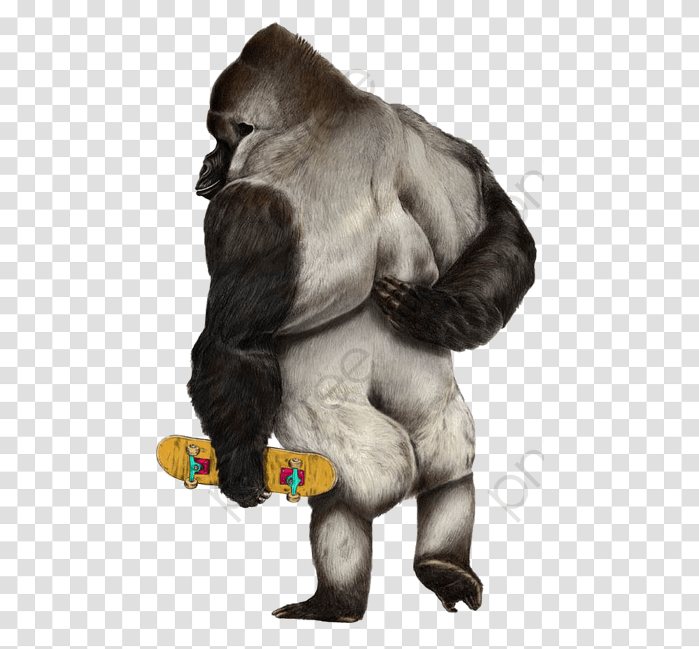 Gorilla Clipart Realistic Animals Skateboarding Art, Ape, Wildlife, Mammal, Elephant Transparent Png