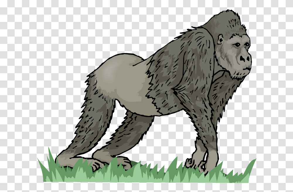 Gorilla Clipart Wild Animal Long Vowel Ape, Bird, Wildlife, Mammal, Wolf Transparent Png