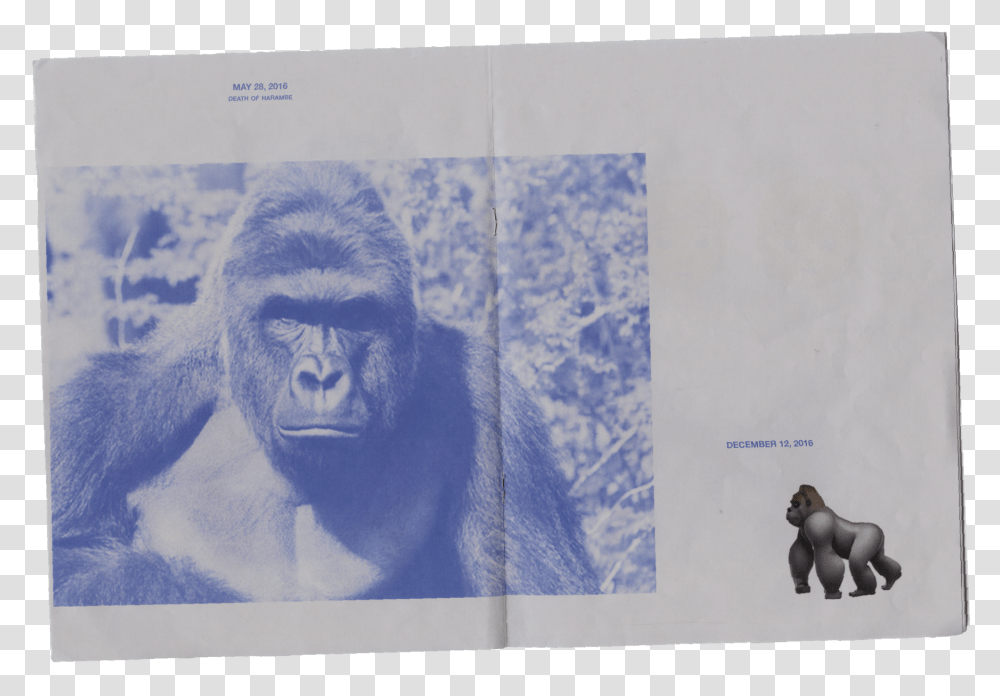 Gorilla Dicks, Wildlife, Animal, Mammal, Ape Transparent Png
