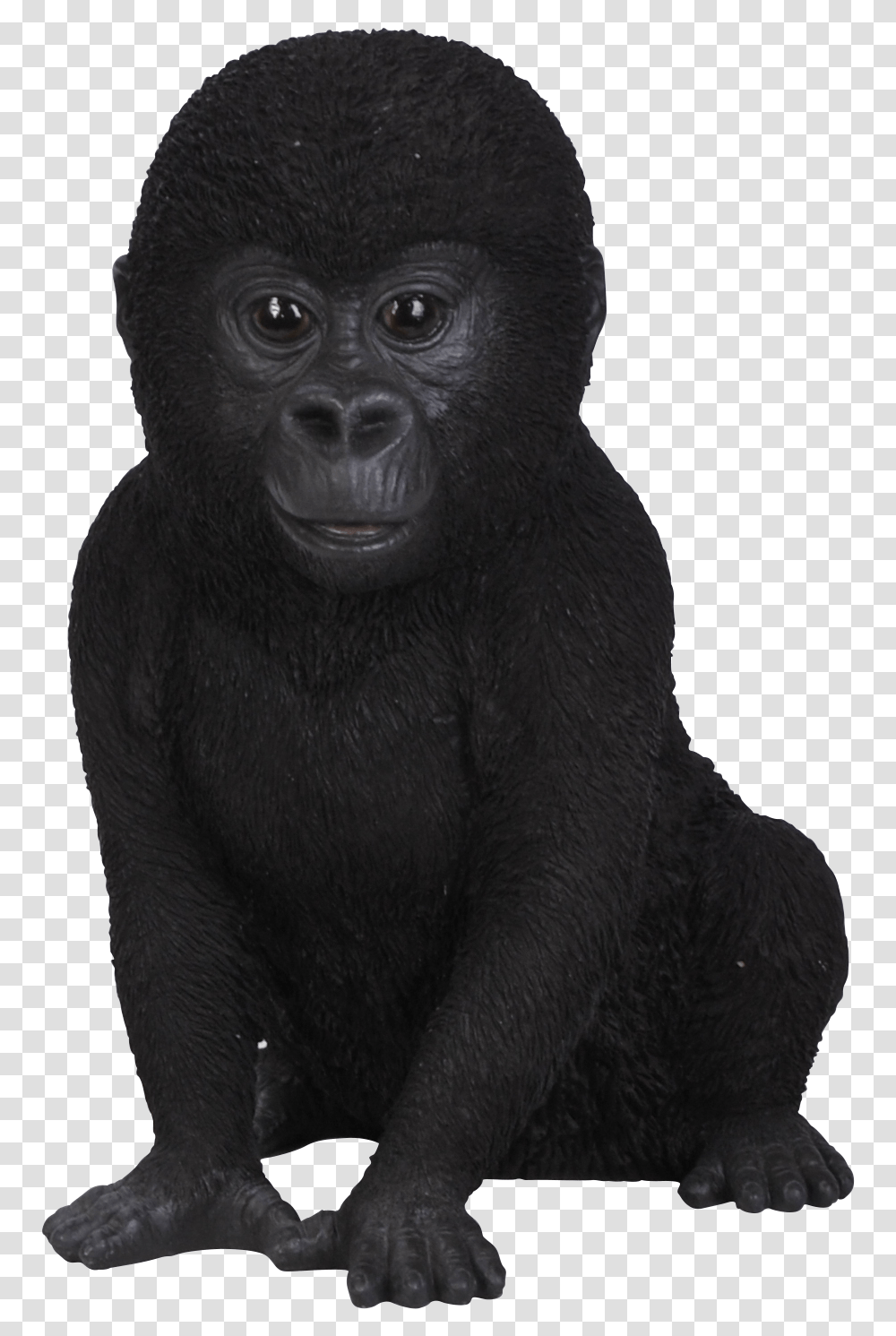 Gorilla Download Baby Gorilla No Background, Ape, Wildlife, Mammal, Animal Transparent Png