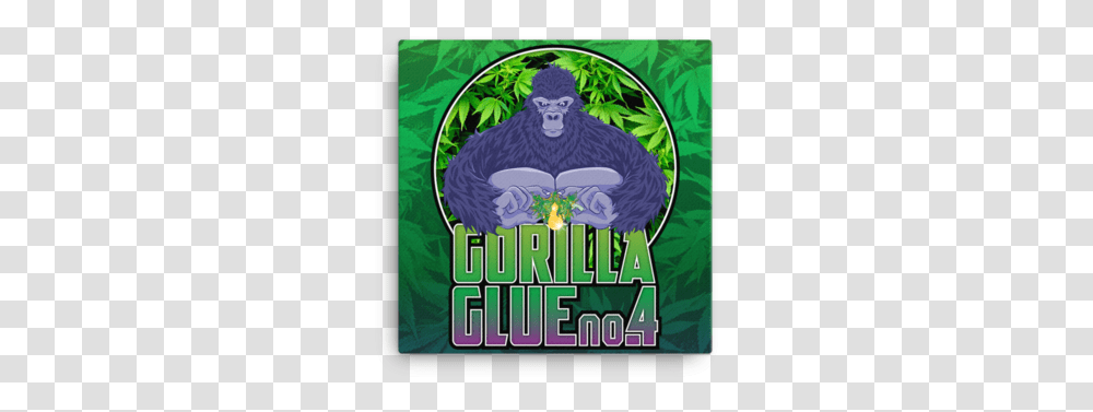Gorilla Glue Gorilla Glue Sticker, Person, Art, Legend Of Zelda, Poster Transparent Png
