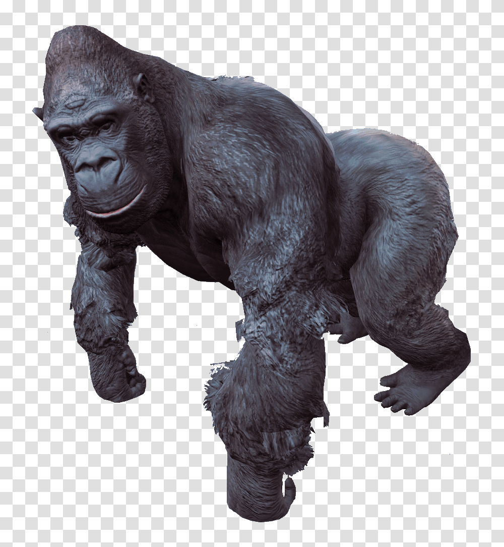 Gorilla Gorilla, Mammal, Animal, Wildlife, Ape Transparent Png