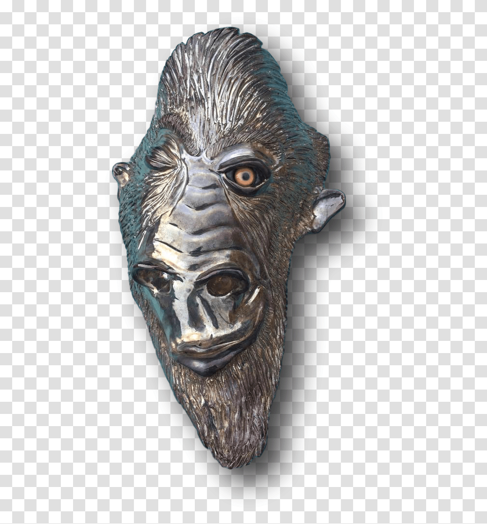 Gorilla, Head, Bronze, Alien, Bird Transparent Png