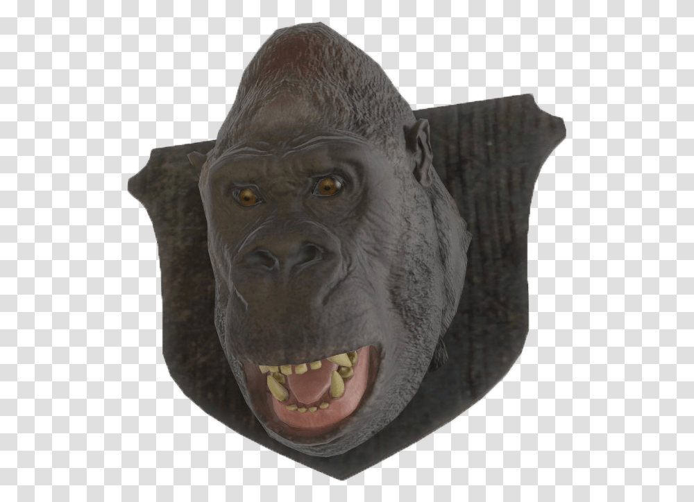 Gorilla Head, Bronze, Statue, Sculpture Transparent Png