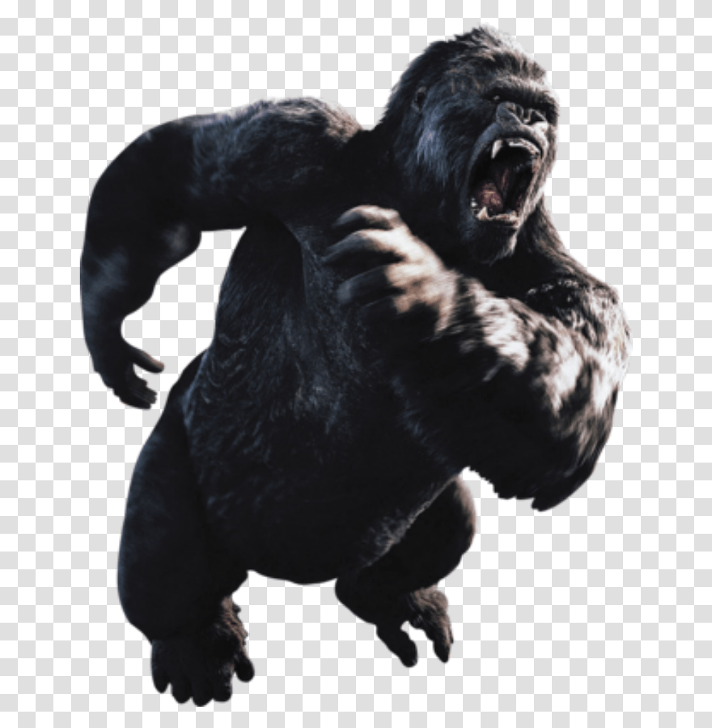 Gorilla Kong Kingkong King Kong En, Ape, Wildlife, Mammal, Animal Transparent Png