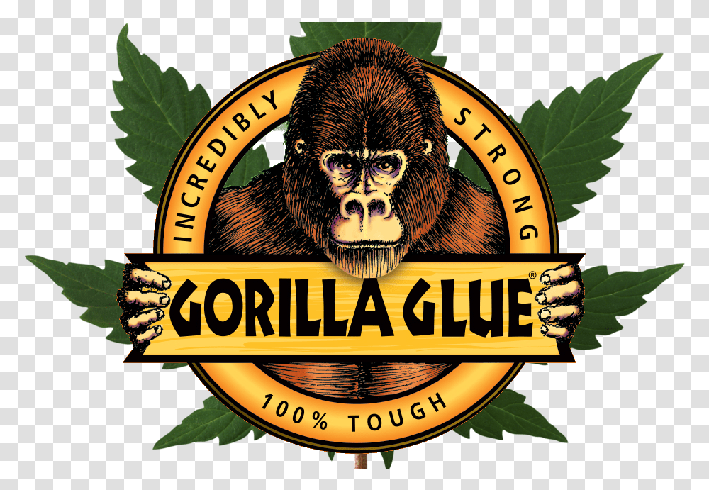 Gorilla Logo Gorilla Glue Strain Logo, Animal, Mammal, Wildlife Transparent Png