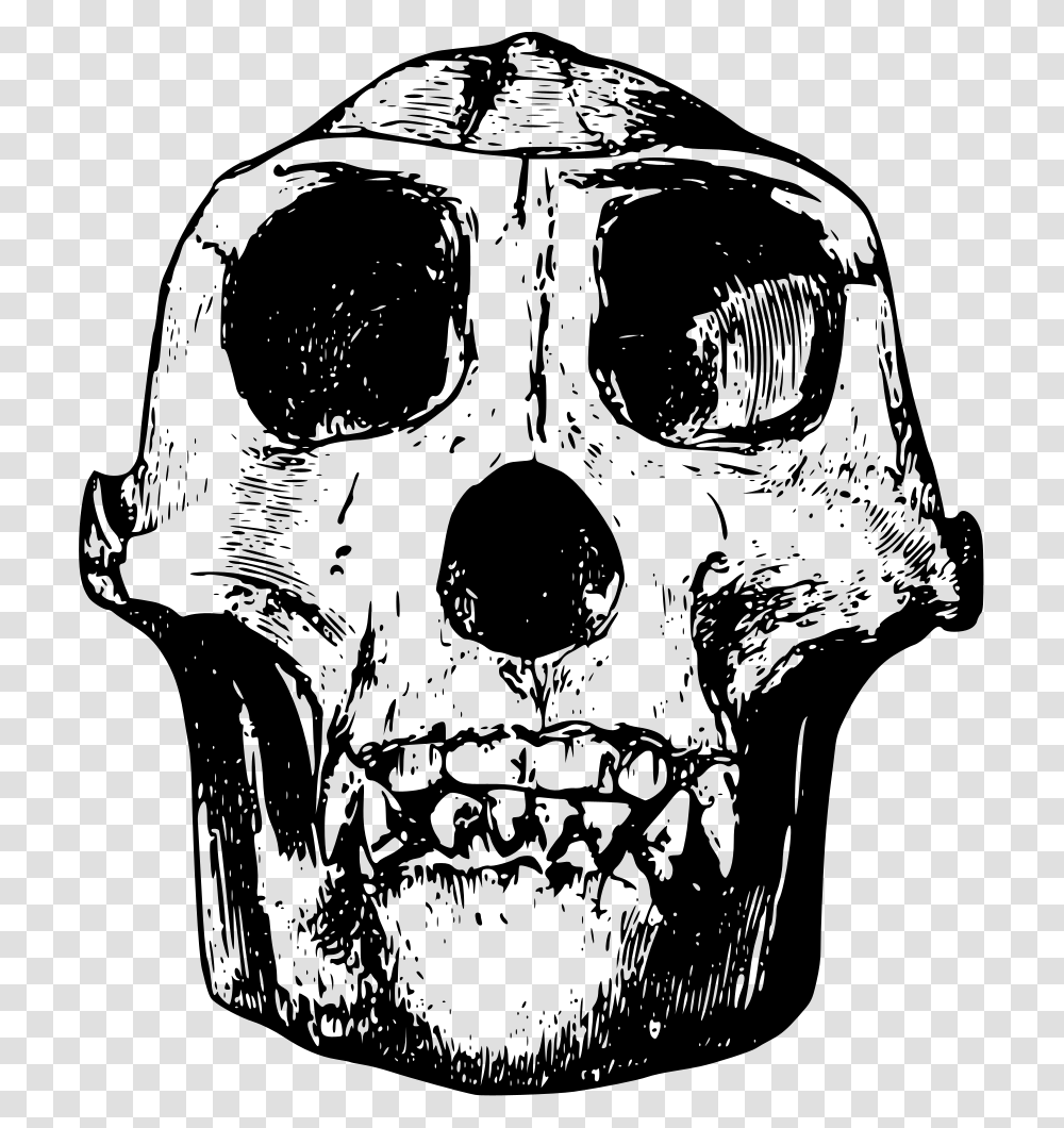 Gorilla Skull Clipart, Gray, World Of Warcraft Transparent Png