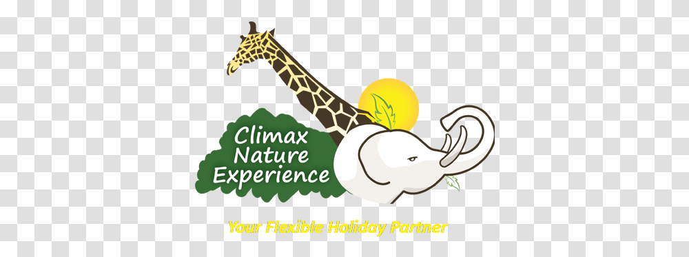 Gorilla Trekking In Uganda Best Online Holiday Deals Logo, Animal, Mammal, Giraffe, Wildlife Transparent Png