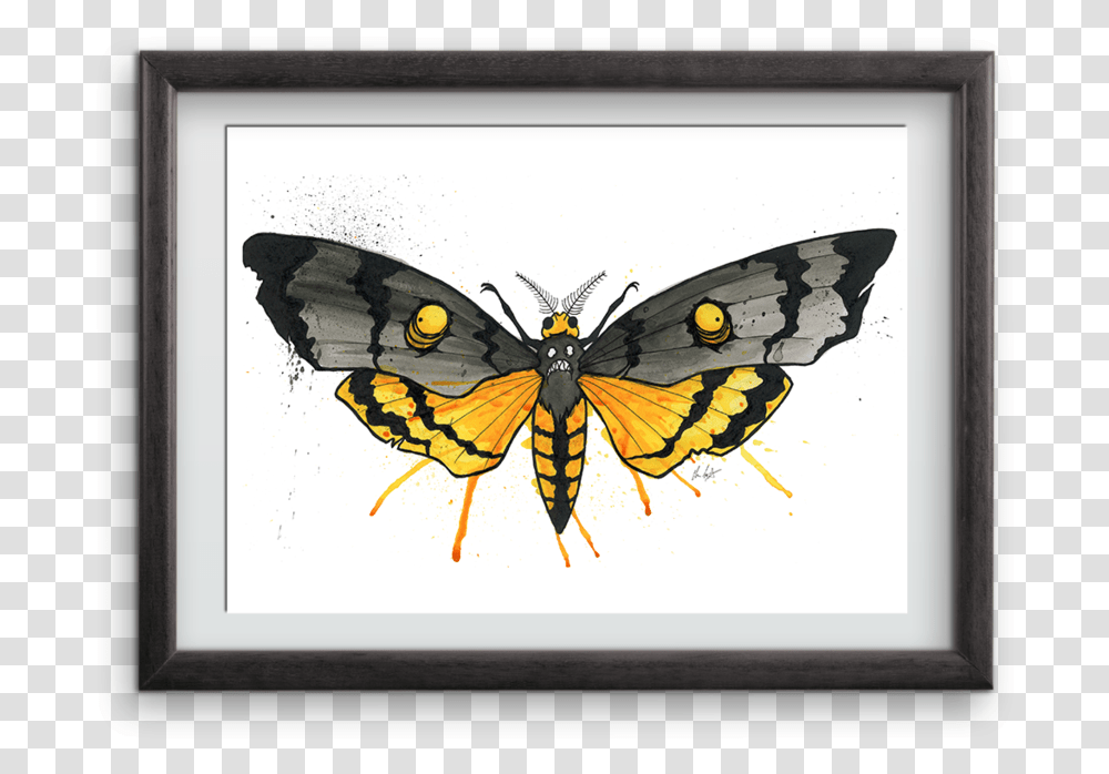 Goth Moth Art Print Picture Frame, Insect, Invertebrate, Animal, Butterfly Transparent Png