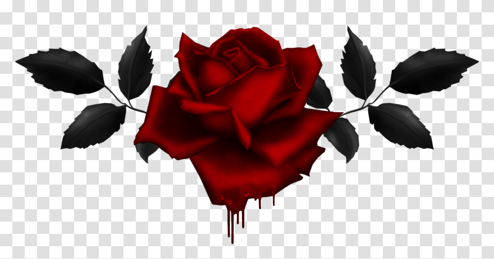 Gothc Clipart Rose Gothic Rose, Flower, Plant, Blossom, Petal Transparent Png